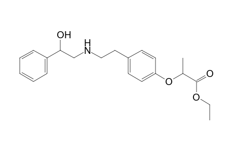 Ethyl esters of (??)-2-[4-[2-(2-phenyl-2-hydroxyethylamino)ethyl]phenoxy]propionic acid