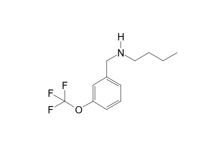 N-Butyl-3-(trifluoromethoxy)benzylamine