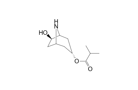 3.alpha.-Isobutyryloxy-7.beta.-hydroxynortropane