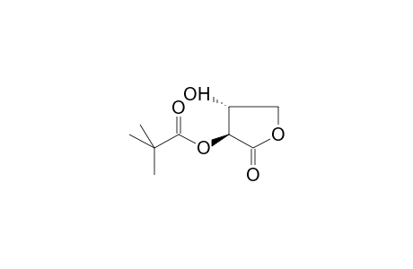 (2R,3S)-3-HYDROXY-2-PIVALOYLOXYBUTANOLIDE