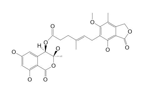 F13459;3,4-DIHYDRO-3,4,6,8-TETRAHYDROXY-3-METHYL-1H-2-BENZOPYRAN-1-ONE-4-O-MYCOPHENOLATE;MINOR-ISOMER