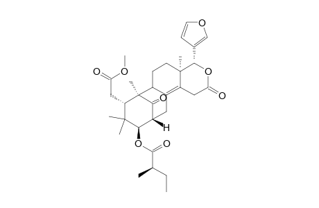 2'R-Methylbutanoylproceranolide