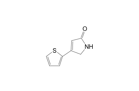 4-(2'-Thienyl)-1,5-dihydro-2H-pyrrol-5-one