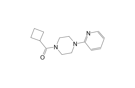 1-(cyclobutylcarbonyl)-4-(2-pyridinyl)piperazine