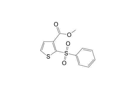 Methyl 2-(phenylsulfonyl)-3-thiophenecarboxylate