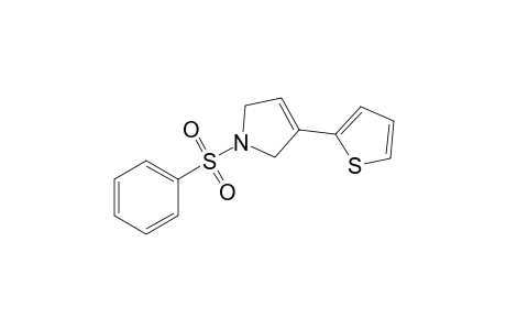 1-Benzenesulfonyl-3-thiophen-2-yl-2,5-dihydro-1H-pyrrole