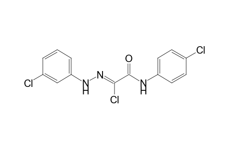 (1Z)-2-(4-chloroanilino)-N-(3-chlorophenyl)-2-keto-acetohydrazonoyl chloride