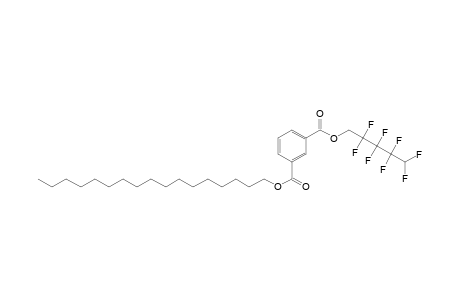 Isophthalic acid, heptadecyl 2,2,3,3,4,4,5,5-octafluoropentyl ester