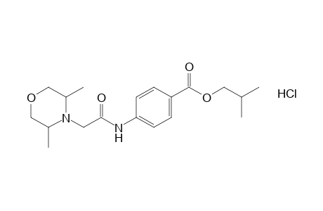 p-[2-(3,5-dimethylmorpholino)acetamido]benzoic acid, isobutyl ester, hydrochloride