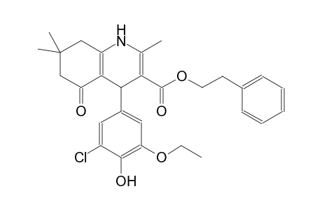 3-quinolinecarboxylic acid, 4-(3-chloro-5-ethoxy-4-hydroxyphenyl)-1,4,5,6,7,8-hexahydro-2,7,7-trimethyl-5-oxo-, 2-phenylethyl ester