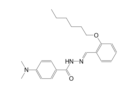 benzoic acid, 4-(dimethylamino)-, 2-[(E)-[2-(hexyloxy)phenyl]methylidene]hydrazide