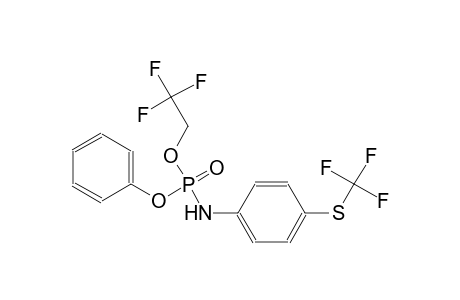 phenyl 2,2,2-trifluoroethyl 4-[(trifluoromethyl)sulfanyl]phenylamidophosphate