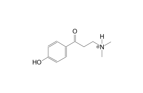 3-(4-hydroxyphenyl)-N,N-dimethyl-3-oxo-1-propanaminium