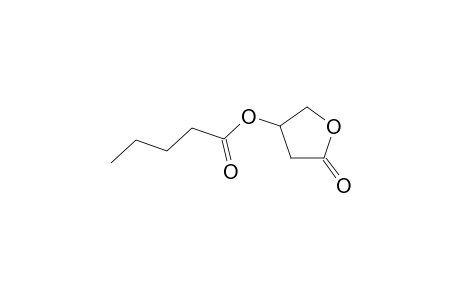 n-valerylcarnitine oxylactone