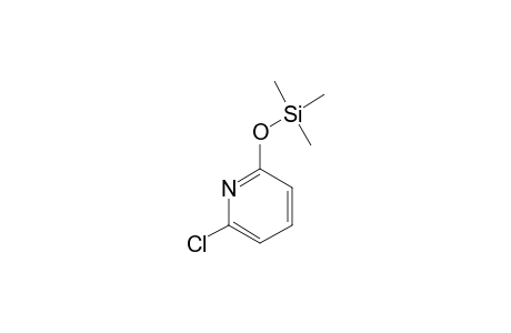 6-CHLORO-2-TRIMETHYLSILOXYPYRIDINE