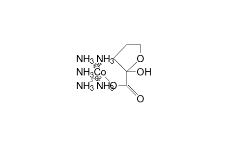 Pentaamino-(5-hydroxy-2-oxo-pentanato) cobalt dication