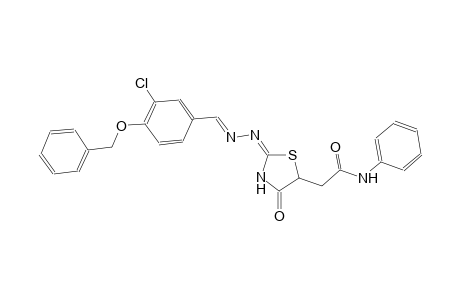 2-((2E)-2-{(2E)-2-[4-(benzyloxy)-3-chlorobenzylidene]hydrazono}-4-oxo-1,3-thiazolidin-5-yl)-N-phenylacetamide