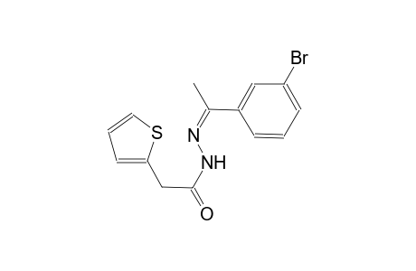 N'-[(Z)-1-(3-bromophenyl)ethylidene]-2-(2-thienyl)acetohydrazide