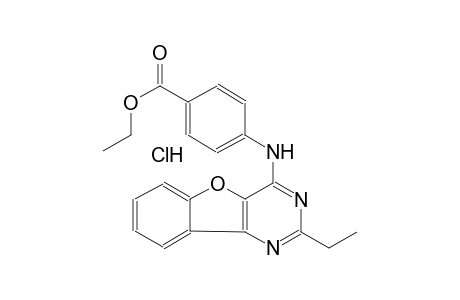ethyl 4-[(2-ethyl[1]benzofuro[3,2-d]pyrimidin-4-yl)amino]benzoate hydrochloride