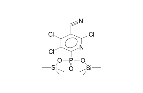 O,O-BIS(TRIMETHYLSILYL)(3,4,6-TRICHLORO-5-CYANOPYRID-2-YL)PHOSPHONATE