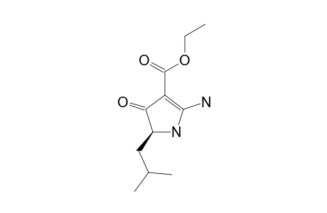 2-Amino-3-(ethoxycarbonyl)-5-isobutylpyrrolin-4-one