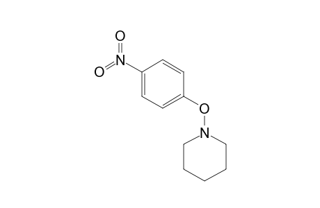 1-(4-Nitrophenoxy)-piperidine