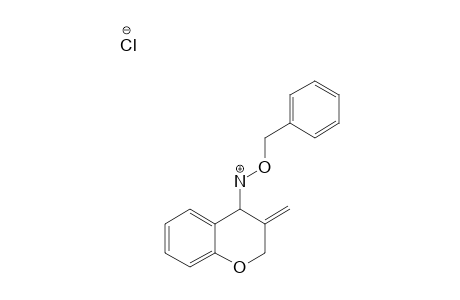 4-BENZYLOXYAMINO-3-METHYLIDENECHROMANE-HYDROCHLORIDE