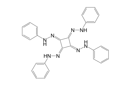 Cyclobutanetetraone tetrakis(phenylhydrazone)