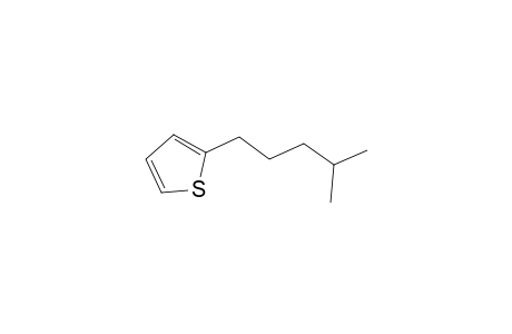 Thiophene, 2-(4-methylpentyl)-