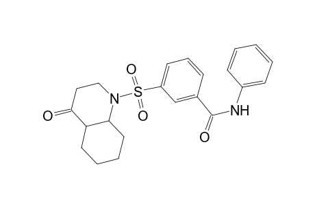 3-[(4-keto-2,3,4a,5,6,7,8,8a-octahydroquinolin-1-yl)sulfonyl]-N-phenyl-benzamide