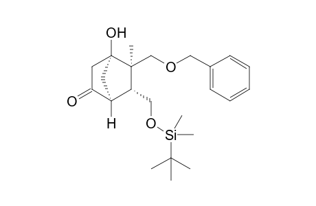 (1S,4R,5R,6R)-5-Benzyloxymethyl-6-(tert-butyldimethylsilyloxymethyl)-4-hydroxy-5-methylbicyclo[2.2.1]heptane-2-one