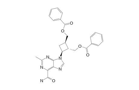 9-[(1-alpha,2-beta,3-alpha)-2,3-BIS-(BENZOYLOXY-METHYL)-CYCLOBUTYL]-2-METHYLPURINE-6-CARBOXAMIDE