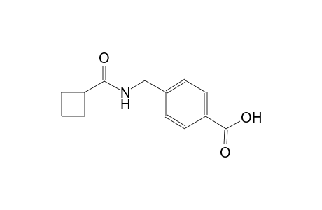 4-{[(cyclobutylcarbonyl)amino]methyl}benzoic acid