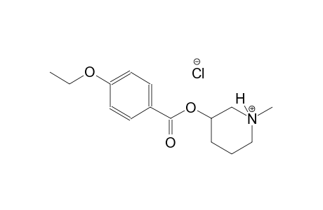 3-[(4-ethoxybenzoyl)oxy]-1-methylpiperidinium chloride
