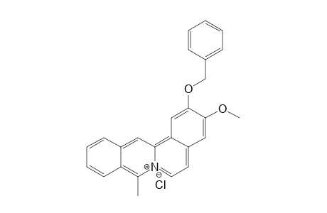 2-(Benzyloxy)-3-methoxy-8-methyldibenzo[a,g]quinolizinium - chloride