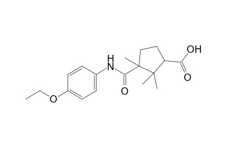 3-[(p-ethoxyphenyl)carbamoyl]-2,2,3-trimethylcyclopentanecarboxylic acid