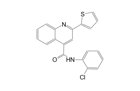 4-quinolinecarboxamide, N-(2-chlorophenyl)-2-(2-thienyl)-
