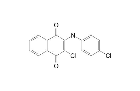 2-Chloro-3-(4-chloroanilino)naphthoquinone