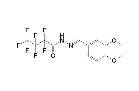 N'-[(E)-(3,4-dimethoxyphenyl)methylidene]-2,2,3,3,4,4,4-heptafluorobutanohydrazide