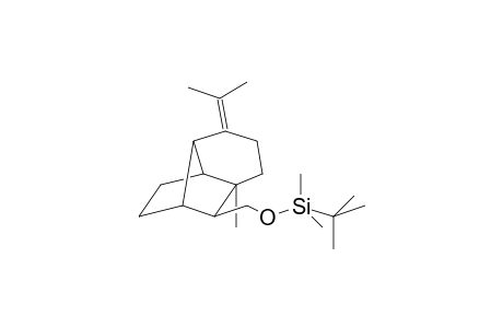 SILANE, (1,1-DIMETHYL)DIMETHYL[[[OCTAHYDRO-4-METHYL-7-(1-METHYLIDENE)-1,4-METHANO-1H-INDEN-8-YL]METHYL]OXY]-