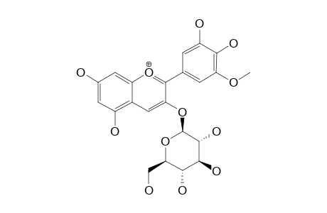 PETUNIDIN-3-O-BETA-GLUCOPYARNOSIDE