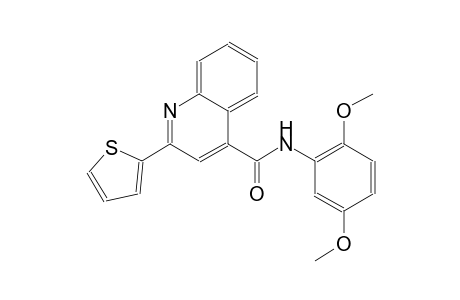 4-quinolinecarboxamide, N-(2,5-dimethoxyphenyl)-2-(2-thienyl)-