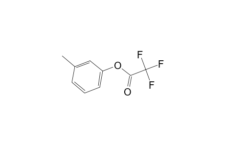 Acetic acid, trifluoro-, 3-methylphenyl ester