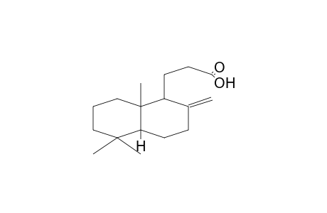 1-NAPHTHALENEPROPANOIC ACID, DECAHYDRO-5,5,8A-TRIMETHYL-2-METHYLENE-