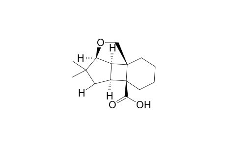 (1R*,2S*,3S*,6S*,7S*)-4,4-Dimethyl-3,1-(epoxymethano)tricyclo[5.4.0.0(2,6)]undecane-7-carboxylic acid