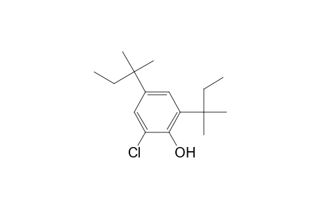 2,4-Ditert-amyl-6-chloro-phenol