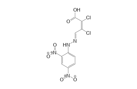 Malealdehydic acid, dichloro-, 4-[(2,4-dinitrophenyl)hydrazone]