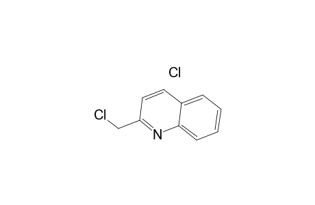2-(Chloromethyl)quinoline hydrochloride