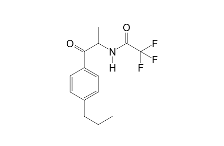 1-(4-Propylphenyl)-2-aminopropan-1-one TFA