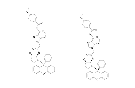 N-[2-HYDROXY-5-(9-PHENYL-XANTHEN-9-YLOXY)-CYCLOPENTYL-1-(N6-PARA-METHOXYBENZOYL)-ADENIN-1-YL]-ACETAMIDE